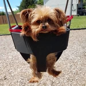 Meet your Posher, Becky